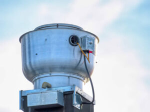 IMG-20250203-WA0015